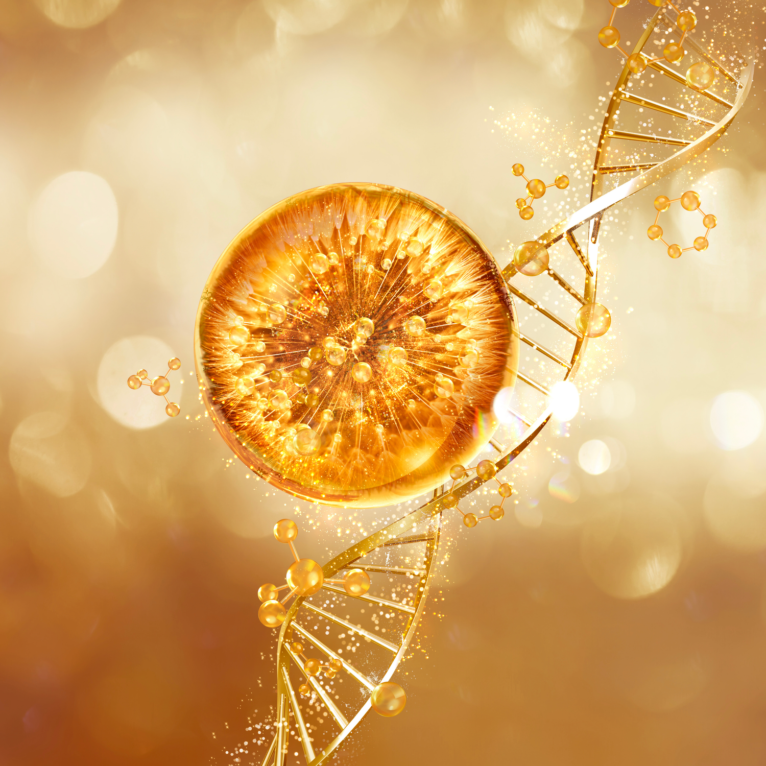 Vitamin A Regeneration auf Zellebene